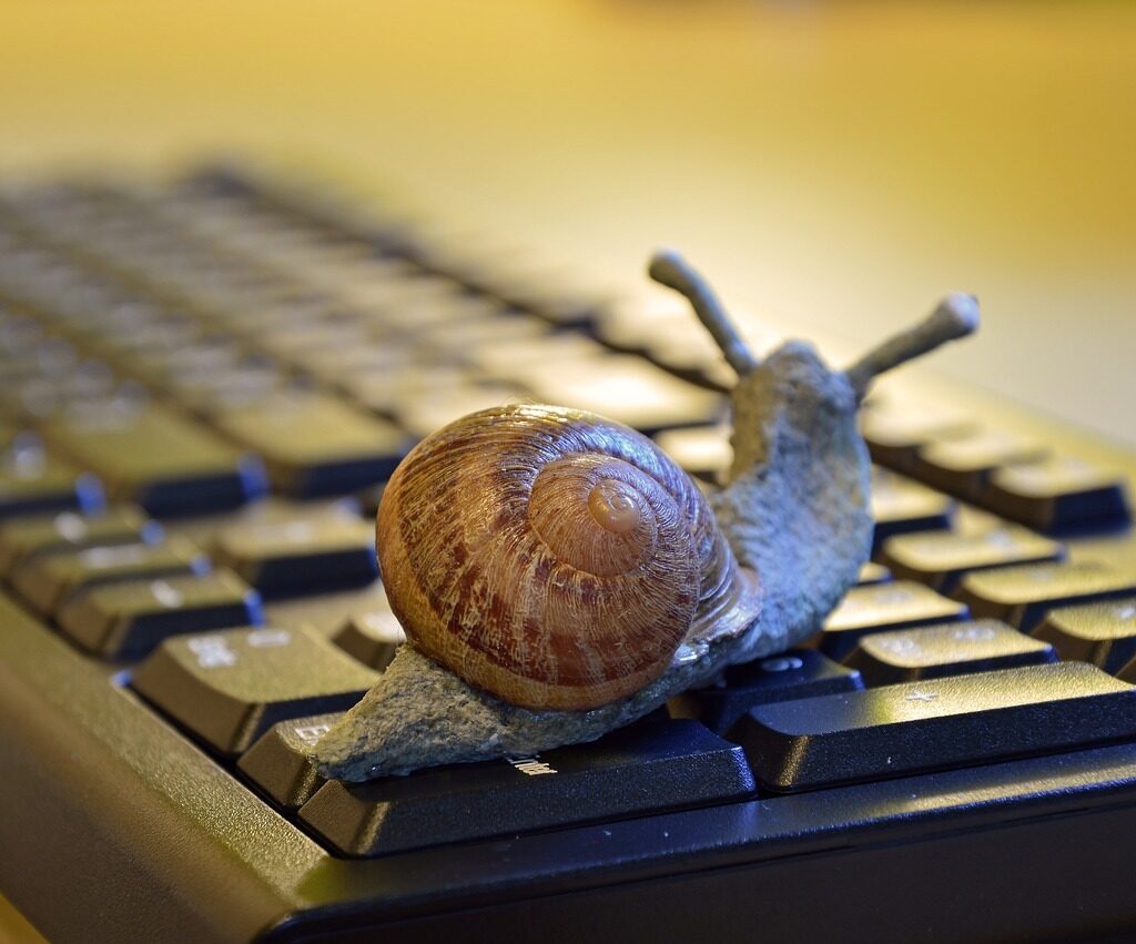 snail, shell, figure